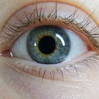 πΊπ¦ α΄α΄α΄α΄Κα΄α΄α΄ β§ π (@natafriden) 's Twitter Profile
