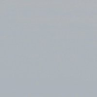 Foff (@js1775) 's Twitter Profile