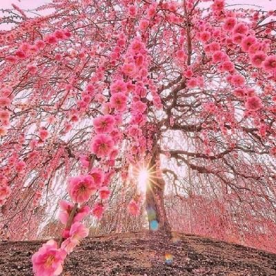 tai543376394024's profile picture. 