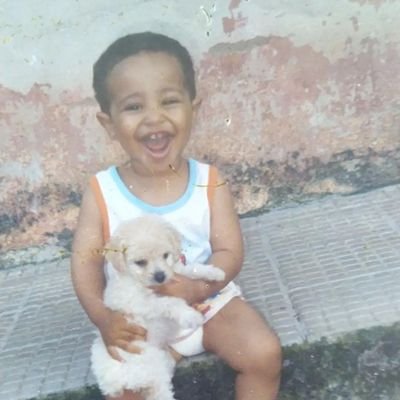 Fiz do galo minha vida, e o galo fez da minha vida um inferno