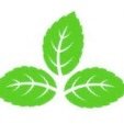 mintmaghreb's profile picture. 