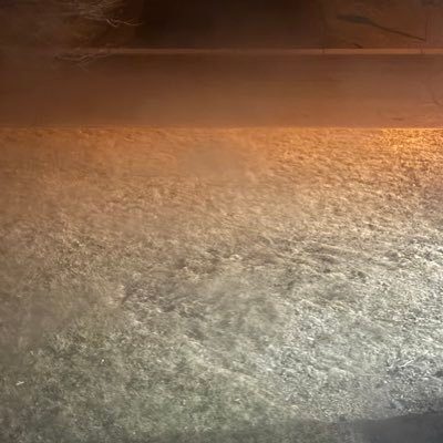 metcalf_joe's profile picture. 