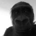 Der_Aaron (@ahadhsdh) Twitter profile photo Der_Aaron (@ahadhsdh) Twitter profile photo