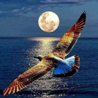 Comandante☀️🌙🌿📚🎼☕️💙 (@redrojo76665196) 's Twitter Profile