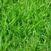 touch grass (@grass) Twitter profile photo touch grass (@grass) Twitter profile photo