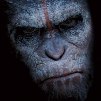 AbadHabad's profile picture. Obserwatot rzeczy dziwnych i ulotnych