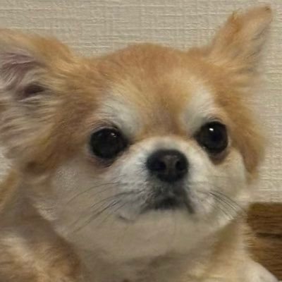 ふうすけさんのプロフィール画像