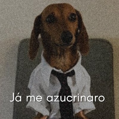 Designer com vida de morcego e streamer centenário: só abre live de 100 em 100 anos.
💜 https://t.co/FQNBnOWm7G