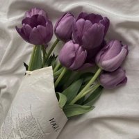 ebtesam  (@ebtesaeem12) 's Twitter Profile