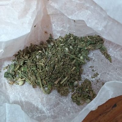 chat hot quien quiera pasarlo bien rico,
19 cm
chileno hots
hablenme si quieren verme cmo me sale la leche