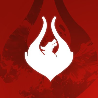Team Phoenix Profile