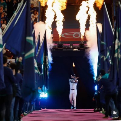 tetel_908's profile picture. 阪神🐯 日ハム🦊