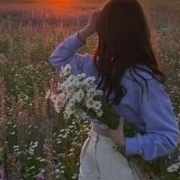 Xesarc12875's profile picture. 