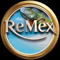 ReMex (@remexmaya) 's Twitter Profile