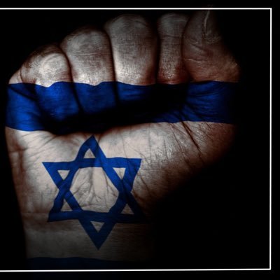 JonH1rsch's profile picture. 🇺🇸✡️🇮🇱📟