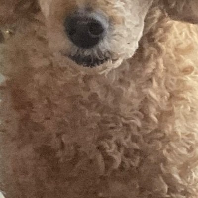 18↑無言フォローすみません。雑食。今はngnにお熱。
気がついたらngnのことを考えています。
wnprが好き。兎組のために毎日嫌なことにも負けずに頑張っています。
hpmi🔰、第七🐭、あくねこ