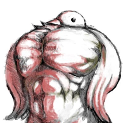 鳥さんのプロフィール画像