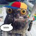 Peeeeter (@cryptidbirder) Twitter profile photo Peeeeter (@cryptidbirder) Twitter profile photo