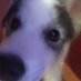Dewdrop (@corchadomon) Twitter profile photo Dewdrop (@corchadomon) Twitter profile photo