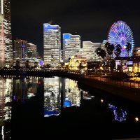 たた (@t_wsdcse) 's Twitter Profile