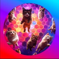 ⬣ ⬡ CryptoHeaven ⬡ ⬣ (@cryptosky7) 's Twitter Profile