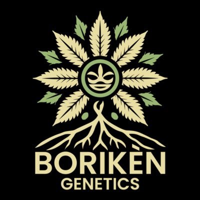 Borikèn genetics is a company that thrives in producing the highest quality products possible fit for each qualifying patient’s 21+ only Nothing for sale!!!