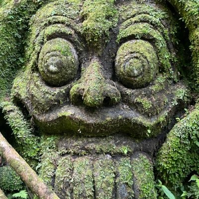 Nine9sss's profile picture. *not financial advice*