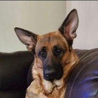 Grateful (@bugs_watching) 's Twitter Profile