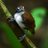 sam morris @sampix@instance.tld