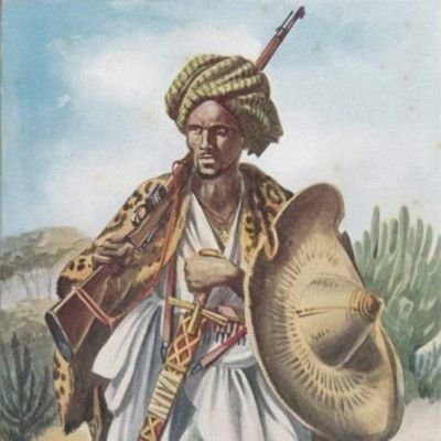 Civil Society Activist and think thank of the Horn of African affairs