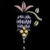 Earthly Delights (@erthlydlghtsnyc) Twitter profile photo Earthly Delights (@erthlydlghtsnyc) Twitter profile photo