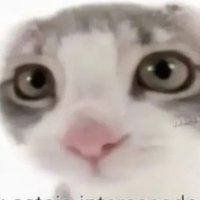 ce0sas (@mindsas4) 's Twitter Profile