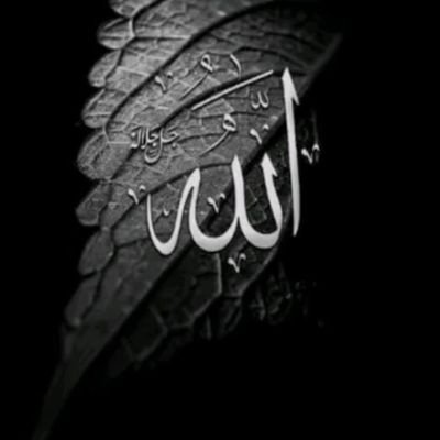 Mhmedjske's profile picture. رَبَكُـم أعلم بِما تمرون بهِ، فأصبروا.­­­­