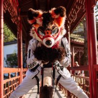 Sion Fox (@sion_fox_) 's Twitter Profile