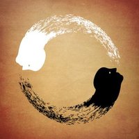 Mind Essentials (@mind_essentials) 's Twitter Profile
