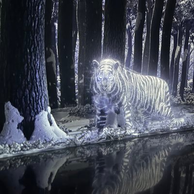 RpCollins76's profile picture. 