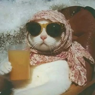 Shahria50337392's profile picture. 