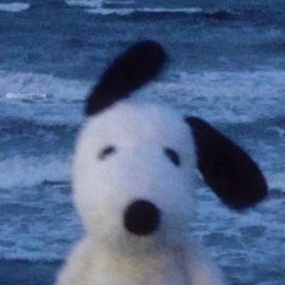 mpaulavf's profile picture. pongan rels b