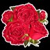 Leyla (@leyla970620) Twitter profile photo Leyla (@leyla970620) Twitter profile photo