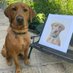 Jennifer Tully|Wildlife & Pet Portrait Painter (@tullytulljen) Twitter profile photo Jennifer Tully|Wildlife & Pet Portrait Painter (@tullytulljen) Twitter profile photo