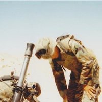 Brewski (@brewski77) 's Twitter Profile