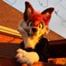 YallerDog (@yallerdogws) Twitter profile photo YallerDog (@yallerdogws) Twitter profile photo