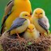 MONOARA BEGUM (@monoarab32975) Twitter profile photo MONOARA BEGUM (@monoarab32975) Twitter profile photo