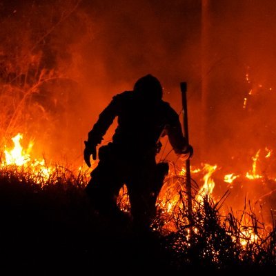 RCRicky598's profile picture. 🇧🇴 | 20 | Bombero voluntario 🧑‍🚒 | Software Developer 😎