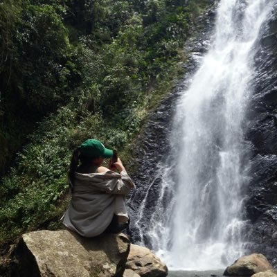 Ale_Cante's profile picture. 🐘🍃