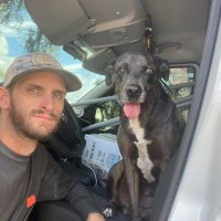 Peter Don (@peterd16238) 's Twitter Profile