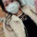 みけぽの己ちゃん (@mkpbyme) Twitter profile photo みけぽの己ちゃん (@mkpbyme) Twitter profile photo