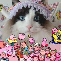 ☃Chilly☃⑤歳🏅🦝🍭 (@chilly___man) 's Twitter Profile