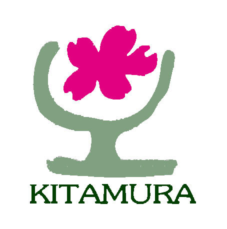 Super_Kitamura Profile Picture