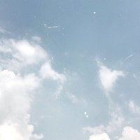 まる (@shkm__4) 's Twitter Profile
